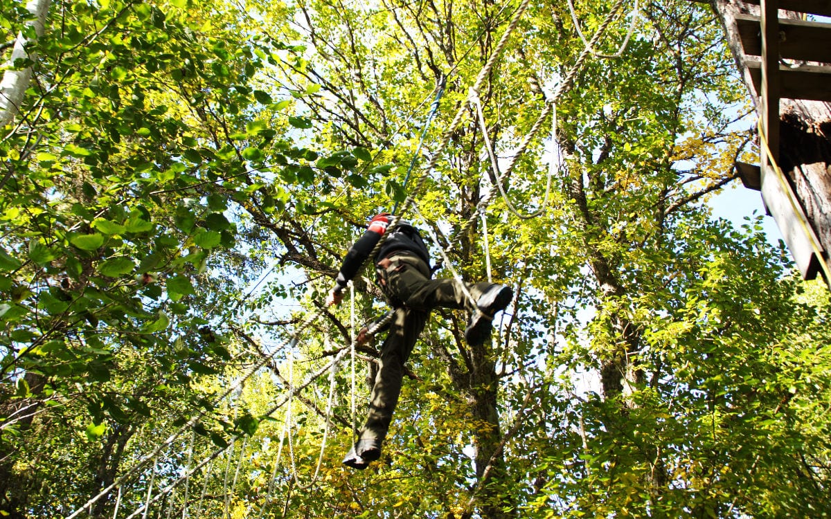 Adventure crawls in the treetops