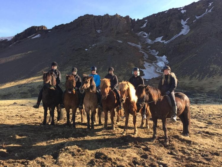 Elevgruppe på heste i Island