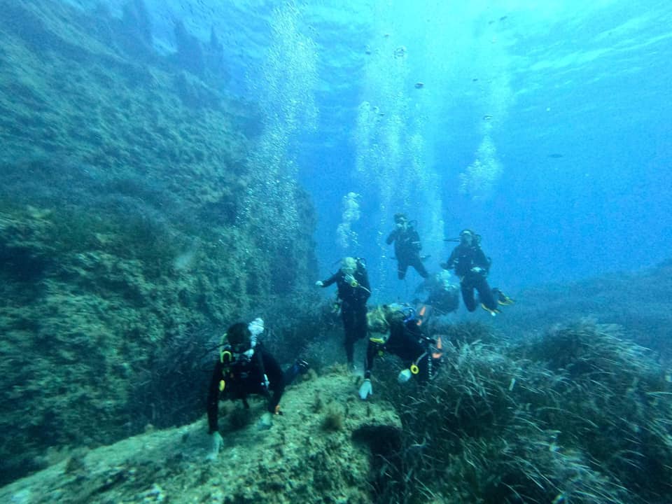 Diving in Malta and Cyprus