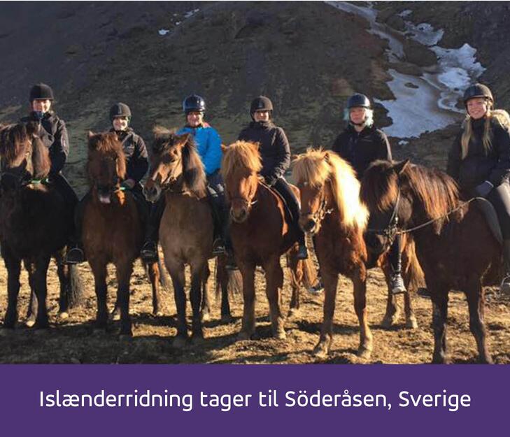 Islænderridning tager til Soderråsen i Sverige
