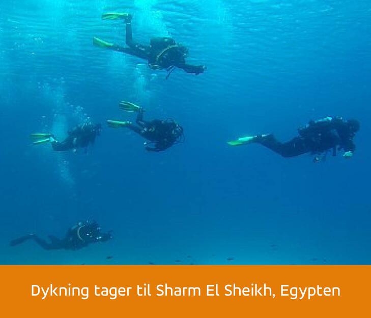 Dykning tager til Sharm El Sheikh Egypten