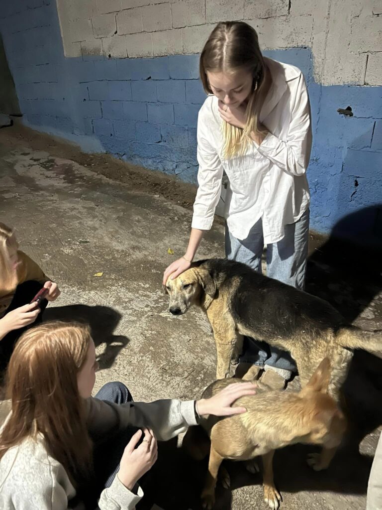 Three girls cuddle 2 stray dogs