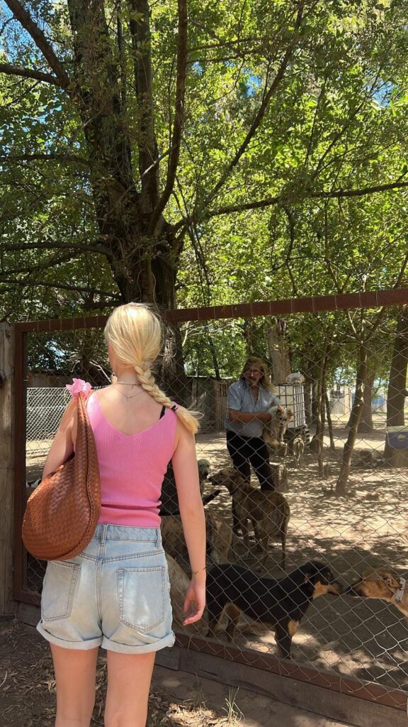 Girl with pink top looks at shelter dogs