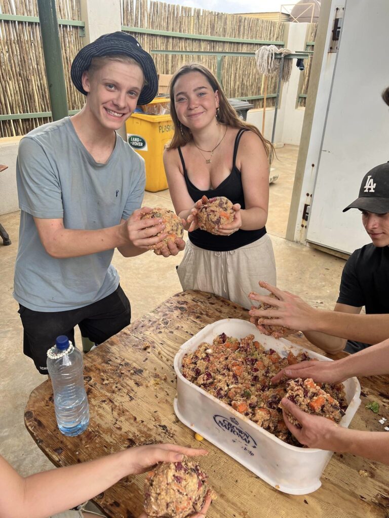 a girl and a boy collect food in a ball for the animals