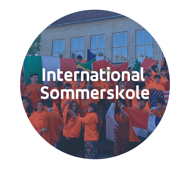 Unge fra International Sommerskole