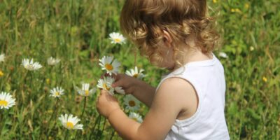 A child picking flowers