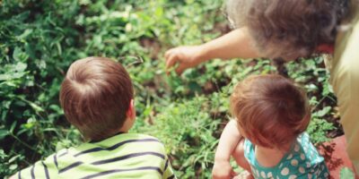 Children learn about plants